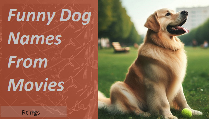 Funny Dog Names From Movies