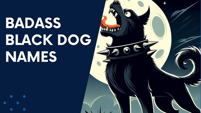 Badass Black Dog Names