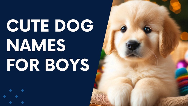 Cute Dog Names for Boys