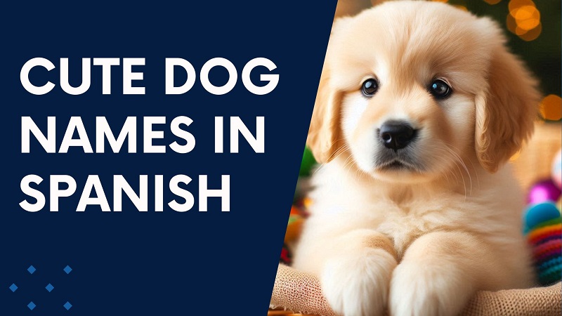 Cute Dog Names in Spanish