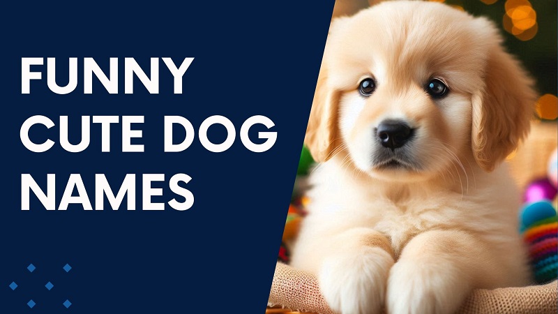 Funny Cute Dog Names