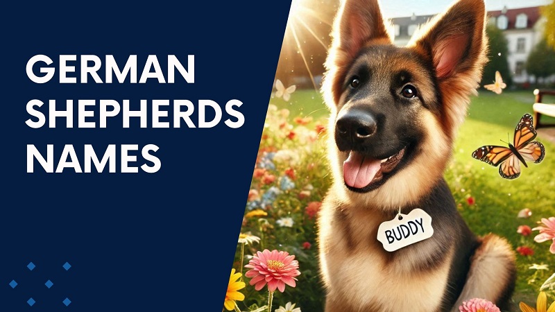 German Shepherds Names