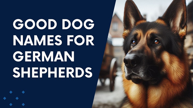 Good Dog Names For German Shepherds