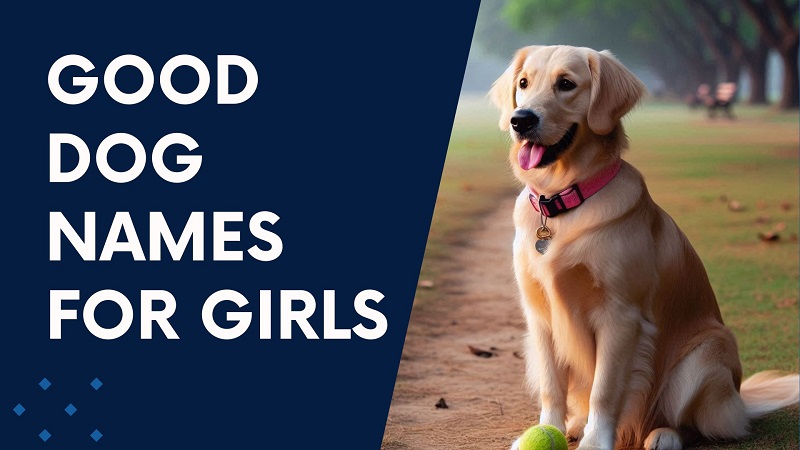 Good Dog Names For Girls