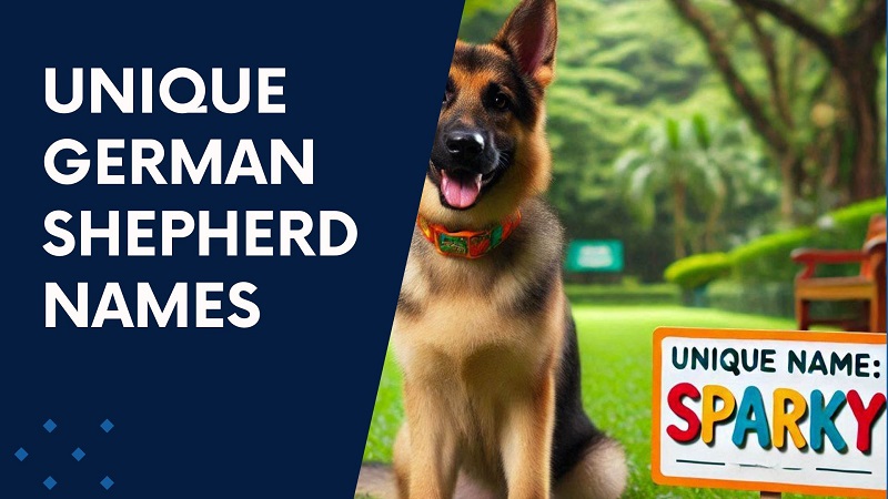 Unique German Shepherd Names