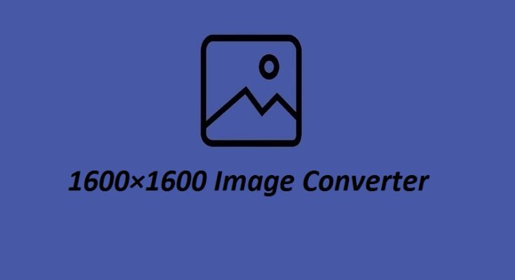 1600×1600 Image Converter