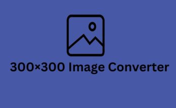 300×300 Image Converter