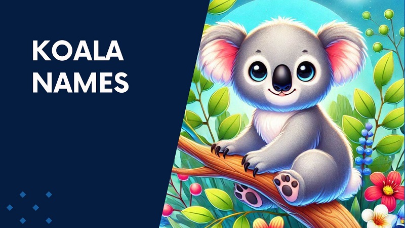 Koala Names